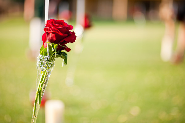 Flowers in a marriage proposal